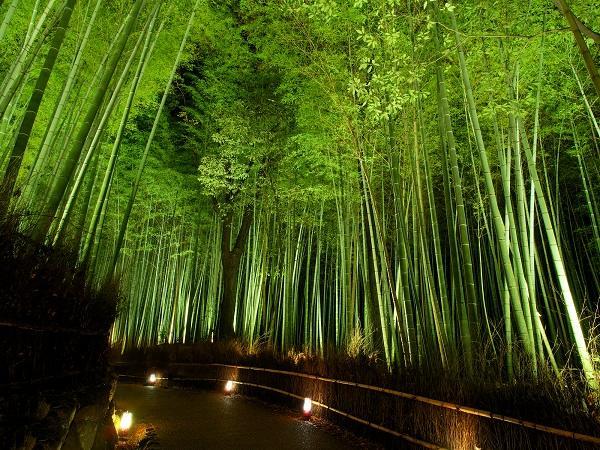 Hotel Excellence Enmachi Ekimae Kyoto Extérieur photo